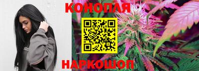 сатива Моздок