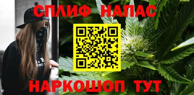 сатива Моздок