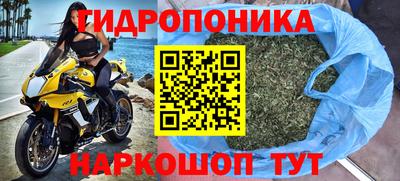 сатива Моздок