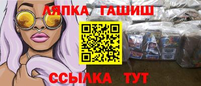 сатива Моздок