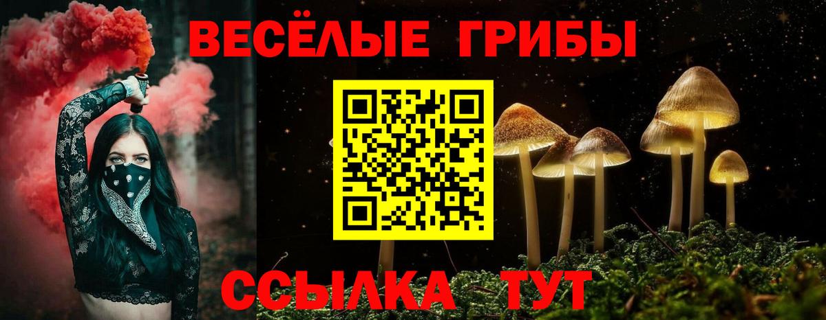 Галлюциногенные грибы мицелий Грязи